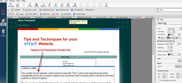 Entering 'Standard Text" in Intuit SiteBuilder